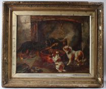 CIRCLE OF GEORGE ARMFIELD Four dogs by a fireside bran tub oil on board 43 x 54cm
