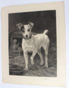 THOMAS BLINKS Jack Russell and ferrets etching published ARTHUR RAYNOR 1889 unframed 60 x 45cm (
