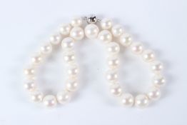 A ROW OF VERY LARGE 14mm / 15mm FRESHWATER PEARL NECKLACE, with silver magnetic clasp.