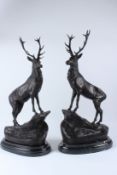 AFTER MOIGNIEZ. A large pair of bronze stags on marble bases. 72cms high.
