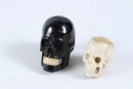 TWO BONE AND HORN SKULLS.