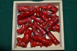 A collection of natural coral.