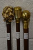 Three decorative walking sticks to include a modern tipple stick.