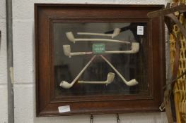 An oak cased display of clay pipes and a tin of snuff.