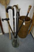 Five various walking sticks in a glass jar/stick stand.