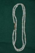 A pale green stained pearl necklace.