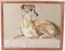 PHYLIS BINET (20TH CENTURY) Whippet or Lurcher 'Pauline' pastel inscribed and dated 11.7.52 37 x