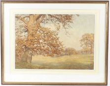 JAMES TOWERS (1853-1950) Landscape with trees and sheep watercolour signed 33 x 47cm