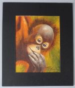 F CHIONY Orangutan gouache on paper signed unframed 17 x 13.5cm