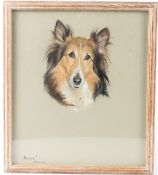 PHYLIS BINET (20TH CENTURY) Collie dog 'Bessie' pastel inscribed and dated 4.4.67 38 x 33cm