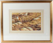 ANDY BECK 'Evening Scent' watercolour, signed and dated 5/93 18.5 x 30.5cm