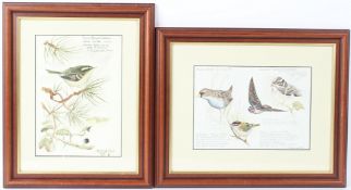 STEVE CALE (CONTEMPORARY) 'Scilly Isles Oct 1983' study of birds, and another of a 'Yellow Browed