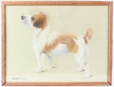 PHYLIS BINET (20TH CENTURY) Jack Russell terrier 'Bubbles' pastel inscribed and dated 19.7.55 36.5 x