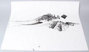 HASSAN MUSA (b.1951) Feather and fan like studies two ink drawings on paper both signed and dated