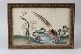 A FINE 19TH CENTURY CHINESE RICE PAPER PAINTING OF A BIRD. 33cms x 23cms.