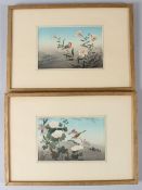 JAPANESE SCHOOL, 20TH CENTURY. Birds on a branch, watercolour, a pair. Bears signature and red