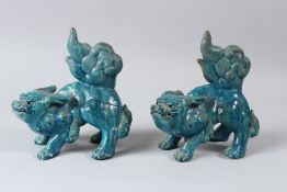 A PAIR OF 20TH CENTURY CHINESE POTTERY LION DOGS with turquoise glazed decoration. 17cms long.