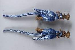 A PAIR OF PORCELAIN PARROT SHAPED WALL SCONCES with ormolu mounts. 47cms long.