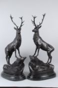 AFTER MOIGNIEZ. A LARGE PAIR OF BRONZE STAGS ON MARBLE BASES. 72cms high.