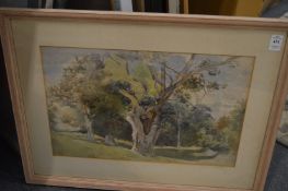 A watercolour and two prints.