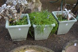 A set of three pale green glazed square shaped planters.