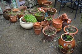 A large quantity of terracotta plant pots.