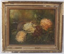 BRITISH SCHOOL (19TH CENTURY) Chrysanthemums oil on canvas signed with initials ESM 45 x 35cm