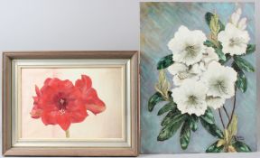 AUDREY OXFORD Study of white rhododendrons oil on canvas board signed unframed 46 x 35.5cm and a