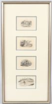 THOMAS BEWICK (1753-1828) Four scenes of a man in different activities woodblock prints in a