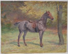 EQUESTRIAN INTEREST Portrait of a horse 'Peggy' oil on board unframed 27.5 x 34.5cm