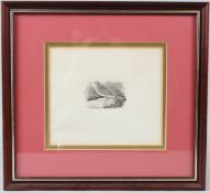 THOMAS BEWICK (1753-1828) 'Tree Lark' woodblock print 5 x 7.5cm image