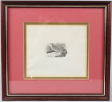 THOMAS BEWICK (1753-1828) 'Tree Lark' woodblock print 5 x 7.5cm image
