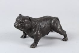 A BRONZE MODEL OF A BULLDOG. 20cms long.