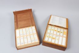 TWO BOXES, containing numerous microscope slides.