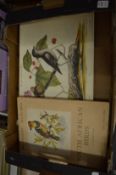 A collection of German chromolithographic bird prints, unframed together with a plate book on