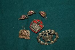 A group of military badges.