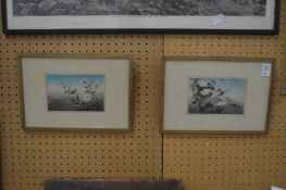 Japanese School, birds on a branch, watercolour, a pair.