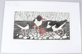 CELIA LEWIS (b.1948) 'Oyster Catchers' linoprint 3/20 signed and titled in pencil unframed 20 x 40cm