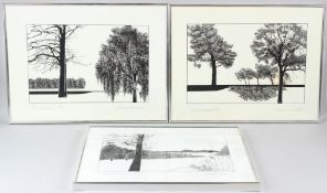 ANDREW NEWMARK 'Later That Afternoon' 'Something Happened' 'A Special Place' Three landscapes with