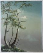 GEORGE LESLIE REEKIE Tree oil on canvas signed and dated 1955 unframed 51 x 41cm