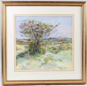 STEWART LOWDON 'Hawthorne and Ragwort, St Enodoc' watercolour signed artists label verso 34.5 x 36.