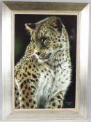 PIP MCGARRY (1955) Leopard colour print 84/95 75 x 49cm