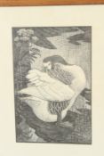 C F TUNNICLIFFE 'Gander' wood engraving and another of geese pair each 25 x 20cm (2)