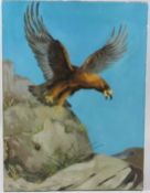 G BROWN (20TH CENTURY) Eagle taking flight oil on canvas signed and dated '77 unframed 61 x 45.5cm