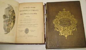 [EXHIBITION / DUBLIN] PARKINSON (H.) & SIMMONDS (P.) The Illustrated Record and Descriptive