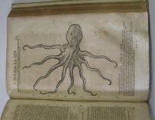 [NATURAL HISTORY / MARINE] GESNER (C.) Historiae Animalium Liber IV [only], Qui est de Piscium &