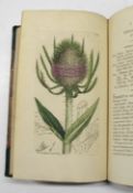 [BOTANY] a random collection of 70 h-col'd engr. plates after Sowerby, many with letterpress, 19th