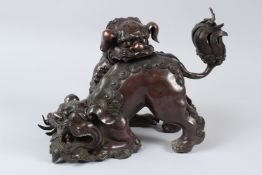 A PAIR OF CHINESE BRONZE LIONS. 20cms x 22cms.