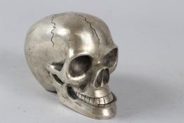 A PLATED MODEL OF A SKULL with articulated jaw. 12cms long.