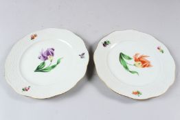 A PAIR OF HEREND PORCELAIN PLATES, with basketweave border and floral decoration. 19cms diameter.
